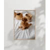 Yatak Üstünde Yatan Köpek Poster