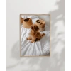 Yatak Üstünde Yatan Köpek Poster