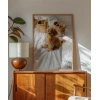 Yatak Üstünde Yatan Köpek Poster