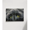 Yavru Kedi Uyku Anı Poster