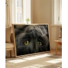 Yavru Kedi Uyku Anı Poster