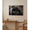 Yavru Kedi Uyku Anı Poster