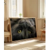 Yavru Kedi Uyku Anı Poster