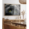 Yavru Kedi Uyku Anı Poster