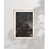 Zarafetin Gölgesi Poster