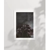 Zarafetin Gölgesi Poster