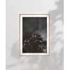 Zarafetin Gölgesi Poster
