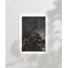 Zarafetin Gölgesi Poster