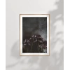 Zarafetin Gölgesi Poster
