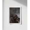 Zarafetin Gölgesi Poster