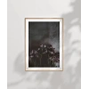 Zarafetin Gölgesi Poster
