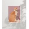 Zarafetin Portresi Poster