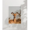 Zarif Ceylan Poster