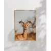 Zarif Ceylan Poster