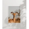 Zarif Ceylan Poster