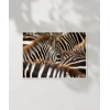 Zebra Deseni Poster