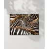 Zebra Deseni Poster