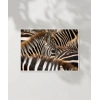 Zebra Deseni Poster