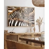 Zebra Deseni Poster