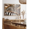 Zebra Deseni Poster