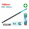 DARBELİ 100MM PH2 BİTS UÇU KARTELALI