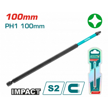 DARBELİ 100MM PH1 BİTS UÇU KARTELALI
