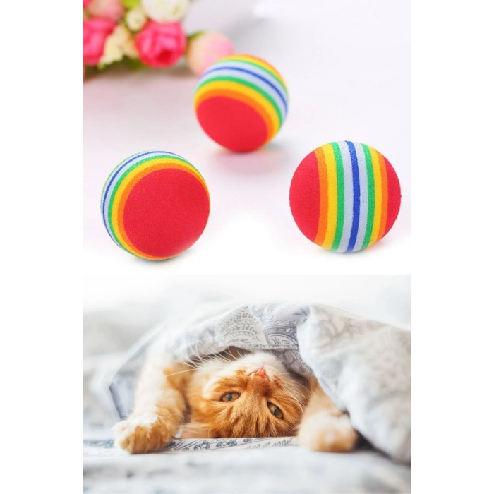 3lü Gökkuşağı Sünger Kedi Köpek Çiğneme Oyun Topu 4,2 cm