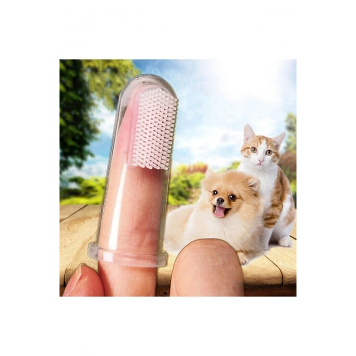 Kedi Ve Köpek Parmak Diş Fırçası Saklama Kutulu Kolay Kullanımlı Evcil Hayvan Diş Bakım Fırçası
