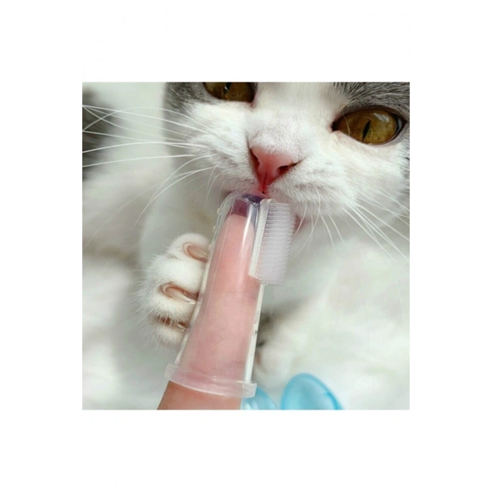 Kedi Ve Köpek Parmak Diş Fırçası Saklama Kutulu Kolay Kullanımlı Evcil Hayvan Diş Bakım Fırçası