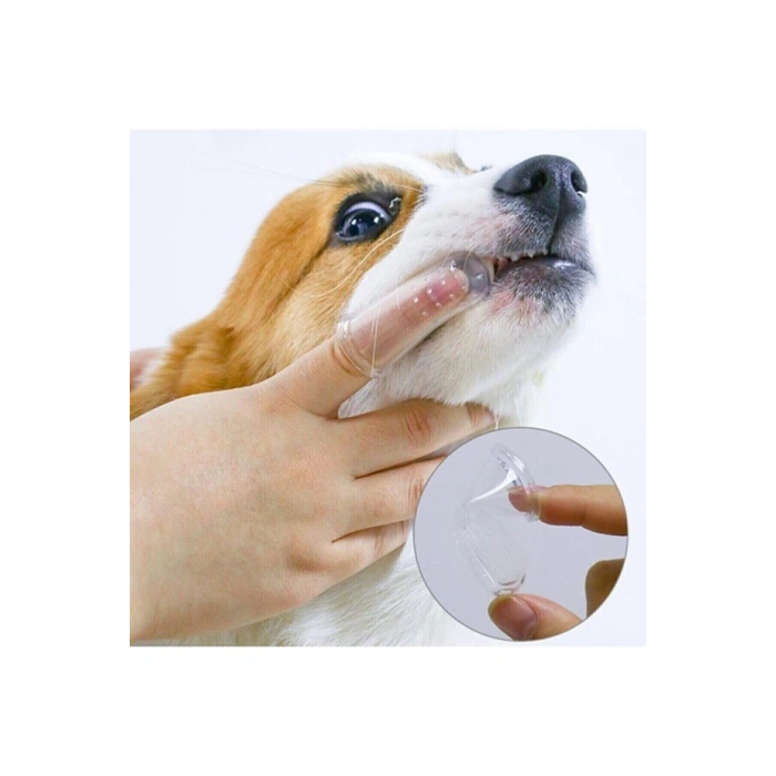 Kedi Ve Köpek Parmak Diş Fırçası Saklama Kutulu Kolay Kullanımlı Evcil Hayvan Diş Bakım Fırçası