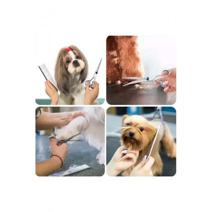 Oval paslanmaz Kavisli çelik hayvan traş makası, kedi ve köpekler için ideal araç 7 inç