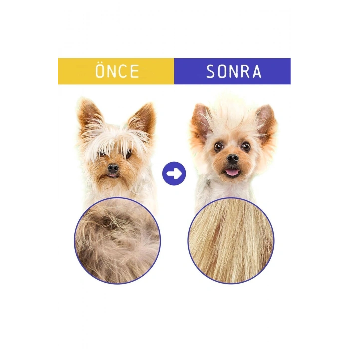 Bit Tarağı Seti Kedi Pire Tasması Evcil Hayvan Bakım Seti Bit Tokası Kedi Köpek Traş Makinesi