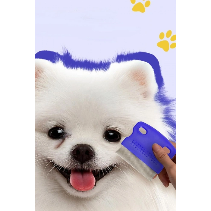 Bit Tarağı Seti Kedi Pire Tasması Evcil Hayvan Bakım Seti Bit Tokası Kedi Köpek Traş Makinesi