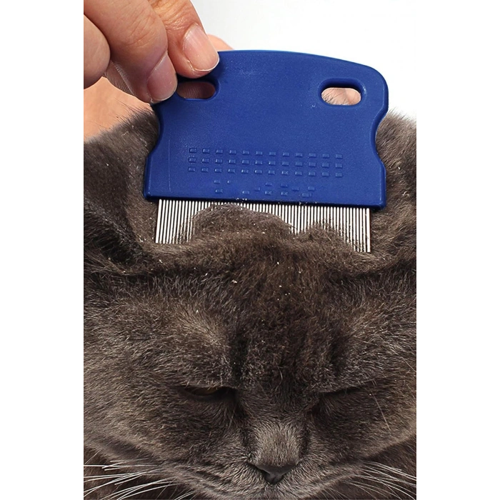 Bit Tarağı Seti Kedi Pire Tasması Evcil Hayvan Bakım Seti Bit Tokası Kedi Köpek Traş Makinesi