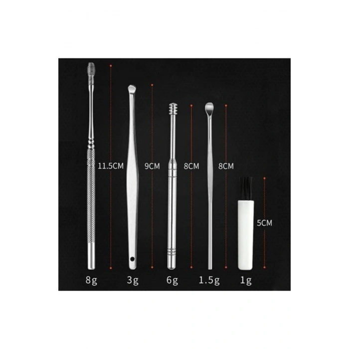 BUFFER® 6 Parça Paslanmaz Çelik Kulak Balmumu Toplayıcı Çıkarıcı Temizleyici Bakımı Çubuk Seti
