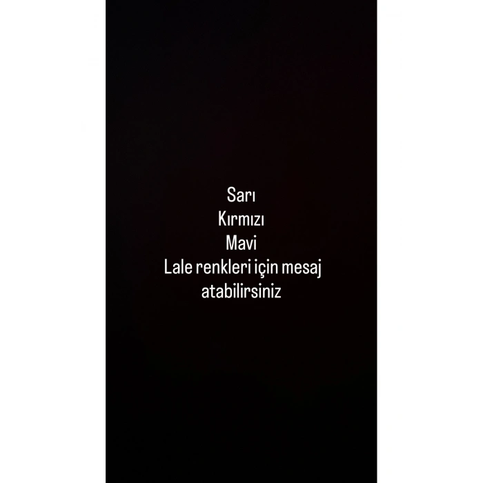 Fanus İçinde Lale Bahçesi Tasarımlı Ledli Masa ve Gece Lambası