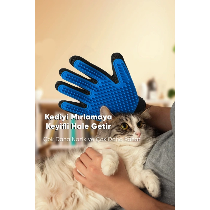 Aveo 1 Adet Kedi Ve Köpekler Için Tüy Toplama Eldiveni
