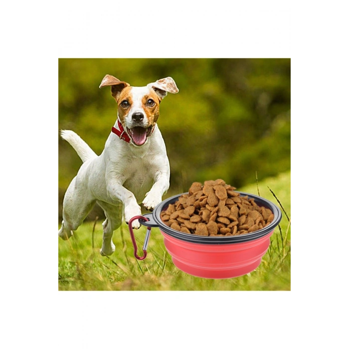 Katlanabilir Kedi Köpek Mama ve Su Kabı Köpek Oyuncağı