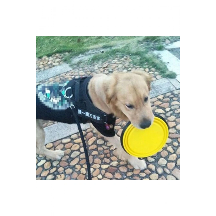 Katlanabilir Kedi Köpek Mama ve Su Kabı Köpek Oyuncağı