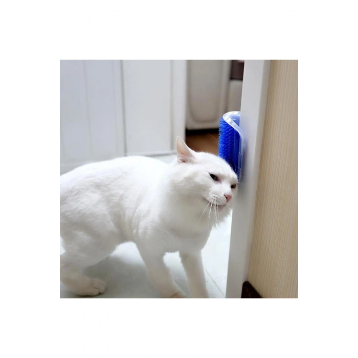 Pratik Kedi Tüyü Kaşıma Ve Tarama Aparatı Duvara Monte Kaşıma Aleti