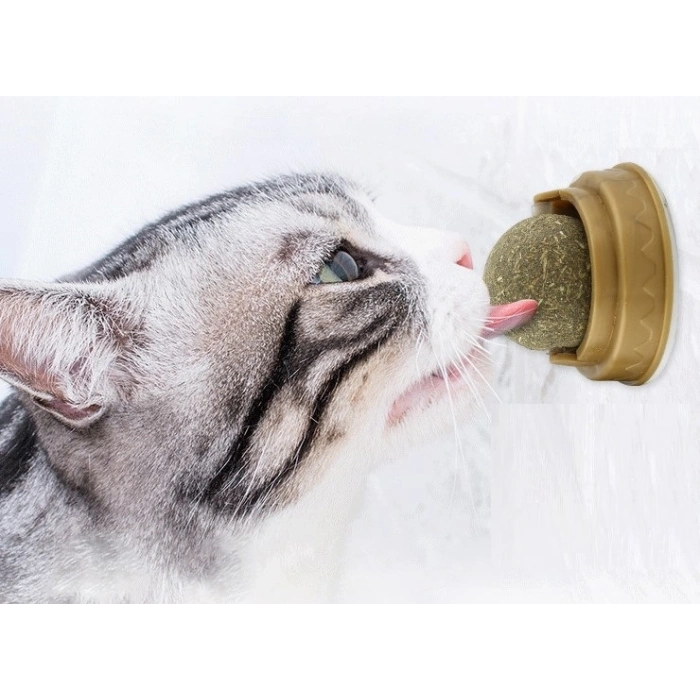 Kedi Nanesi Cat Mint Oyun Topu