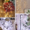 3 Metre Yaldızlı Gümüş LED Işık – Dekoratif Ortam ve Yılbaşı Aydınlatması
