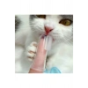 Kedi Ve Köpek Parmak Diş Fırçası Saklama Kutulu Kolay Kullanımlı Evcil Hayvan Diş Bakım Fırçası