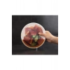 Yemek Saklama Kapak Seti 6 Adet
