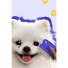 Bit Tarağı Seti Kedi Pire Tasması Evcil Hayvan Bakım Seti Bit Tokası Kedi Köpek Traş Makinesi