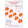 10 Ledli Sonbahar Konseptli Dekoratif Yaprak Şerit LED Işık – Sevgililer Günü Yılbaşı Doğum Günü