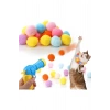 İnteraktif Kedi Oyun Tabancası