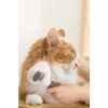 Otomatik Temizlenen Tuşlu Kedi Köpek Tarağı Evcil Hayvan Fırçası