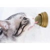 Kedi Nanesi Cat Mint Oyun Topu