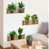 Raflı Bitki Tasarımlı Yapışkanlı Sticker 20*30 Cm 3lü Set Mc-663